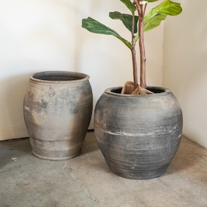 May include: A large, artificial fiddle-leaf fig tree in a dark gray, round pot. The tree has large, green leaves and brown stems. Beside it is a matching, empty, gray pot. The pots are on a concrete floor.