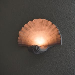 May include: A wall-mounted light fixture shaped like a scallop shell. The shell has a textured, ridged surface in a muted gray tone, while the interior emits a warm, soft, glowing light from the center, highlighting the natural fan-like structure.