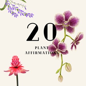 plant affirmation cards, abundance, self love, cards, inspiration, tarot, day cards, flowers, plants, herbs.
