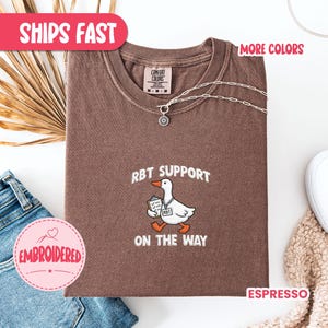 Camiseta RBT Comfort Colors para Técnicos de Comportamiento Registrados, Camiseta de Regalo para Terapeutas ABA, Camiseta de Agradecimiento a Técnicos de Comportamiento, TSH_140