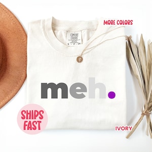 Pride Meh T-shirt met aseksuele vlag, shirt 'Pride meh' Aroace, subtiel aseksualiteit Pride-shirt, uniseks discreet LGBT-cadeau, kleding Ace Flag - PRD_066