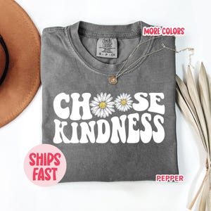 Camiseta "Elige la Amabilidad" para Maestros, Regalo de Agradecimiento al Maestro, Regreso a Clases, Camiseta "Sé Amable" para Maestros de Primaria, TSH_024