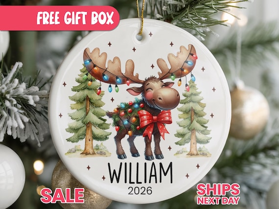Personalized Kid’s Christmas Ornament, Custom Name Ornament for Boy or Girl, Cute Moose Christmas Ornament, Kids Holiday Keepsake, OR_79