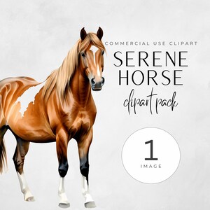 Art cheval mignon pour la fabrication de cartes, clipart cheval aquarelle, clipart cheval majestueux, art équin éthéré, clipart équestre, images de cheval