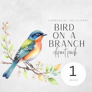 Watercolor Bird on Branch Clipart: Whimsical Digital Download