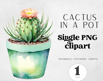 Boho Cactus Clipart PNG, Watercolor Desert Plant Illustration for Scrapbooking, Stickers, Junk Journals and Bohemian Craft Projects