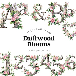 Floral Alphabet Clipart Bundle, Rose Garden Wedding Letters PNG, Watercolor Monogram Font, Botanical Bridal Graphics, 71 Clipart PNGs Includ