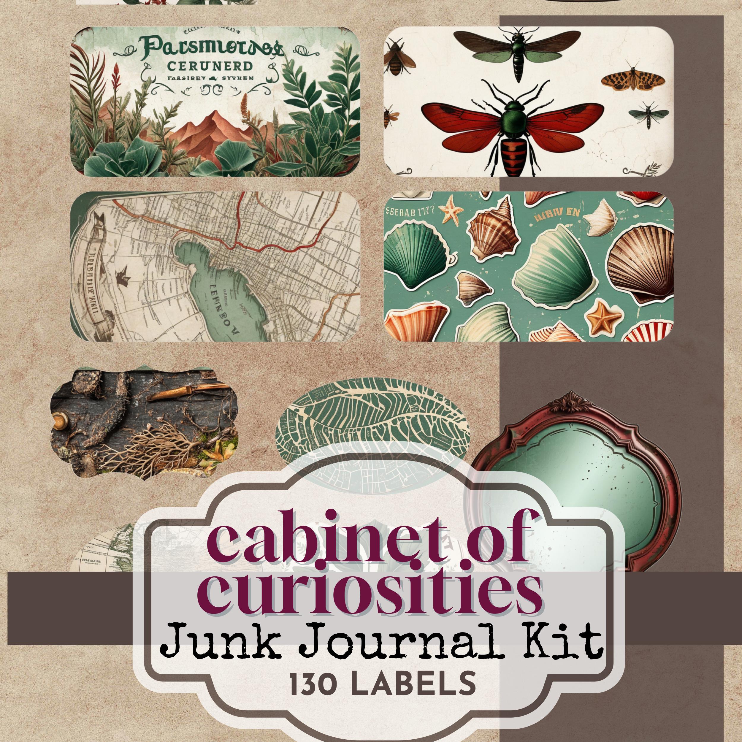 Junk Journal Ephemera Labels, Printable Kit, Curio Cabinet, Entomology ...