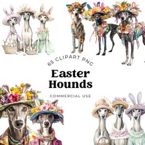 Cute Easter Greyhound Dogs PNG, Dog Lover Clipart, Adorable Greyhound Clipart Images with Flowers, Printable Easter Dog Graphics, Digital