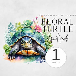 Watercolor Baby Turtle Clipart, Cute Sea Turtle PNG, Ocean Animals, Nursery Decor Graphics, Colorful Turtles Clipart, Watercolor Turtle PNG