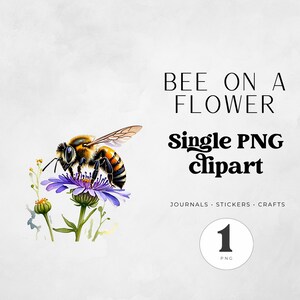 May include: A watercolour image of a bee on a purple flower. The bee has black and yellow stripes. Text reads "BEE ON A FLOWER" and "Single PNG Clipart". Additional text: "JOURNALS • STICKERS • CRAFTS".