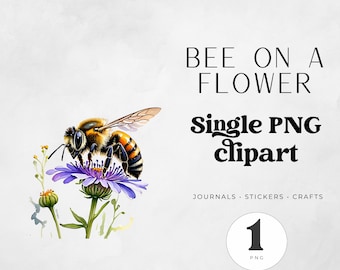 bee clipart png, watercolor bumble bee illustration, stickers, junk journals and scrapbooking, nursery and baby shower decor, commercial use