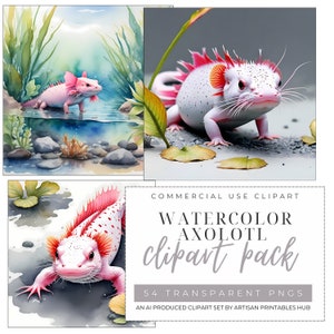 Watercolor axolotl clipart bundle, cute salamander illustrations, whimsical aquatic animal art for kids crafts, scrapbooking and party decor
