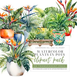 House Plants Clipart, Cute Indoor Plant PNGs, Digital Clip Art, Printable Stickers for Home Decor, Commercial Use Graphics, Decor Clipart