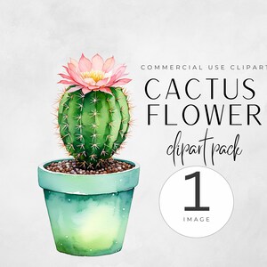 Aquarelle Cactus Clipart, PNG Cactus mignon, Clipart Cactus du désert, graphiques PNG transparents, créations DIY, clipart cactus mignon, Images de cactus