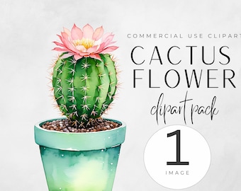 Watercolor Cactus Clipart, Cute Desert Succulent PNG, Transparent Craft Graphics, Single Image Commercial Use, Succulents Clipart, Kids Fun
