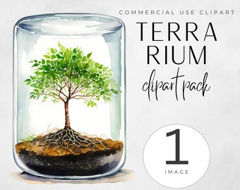 Terrarium Clipart - Fairy House Art - Garden Snow Globe PNG - Botanical Terrarium Clipart - Home Decor Clipart - Cute Succulent Clipart Set