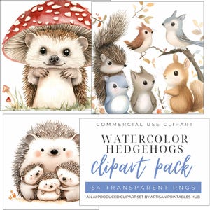 Bundle de cliparts hérisson mignon, art aquarelle hérisson, téléchargement numérique pour travaux manuels, illustrations d'adorable hérisson, parfait pour une baby shower