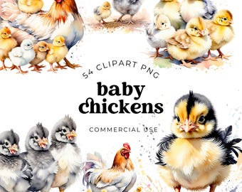 Baby Chick Clipart Bundle, Adorable Watercolor Easter Chicks and Farm Animal Illustrations for Spring Cards, Scrapbooking, Journals, Crafts
