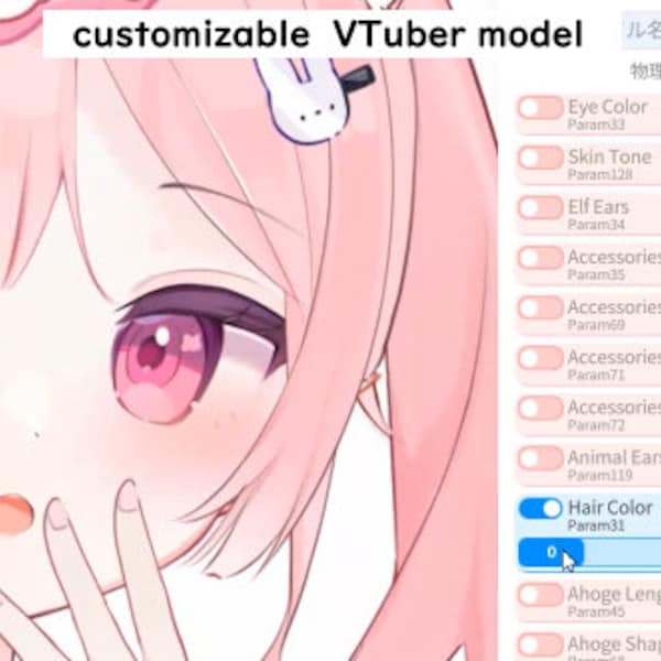 Anpassbarer vorgefertigter Live2D-Vtuber | Bearbeitbar | Maßgeschneidert