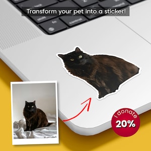 custom Cat Stickers, Personalized Cat Face Sticker, Custom Cat Mom Gift, Custom Pet Stickers, Waterproof Vinyl For Water Bottle Laptop