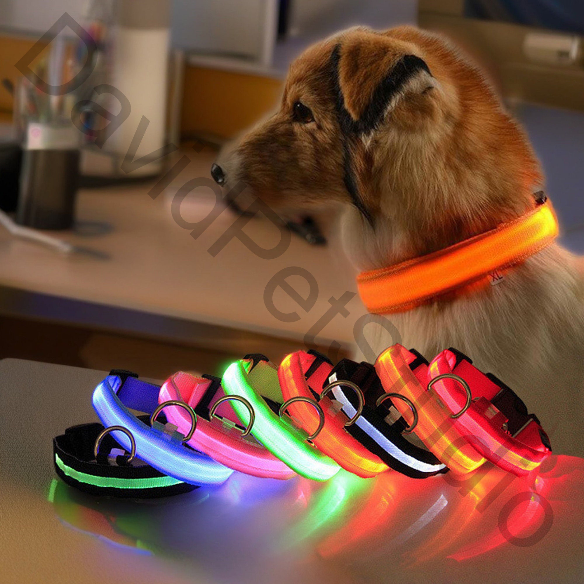 Glow in the dark dog collars and leashes sale