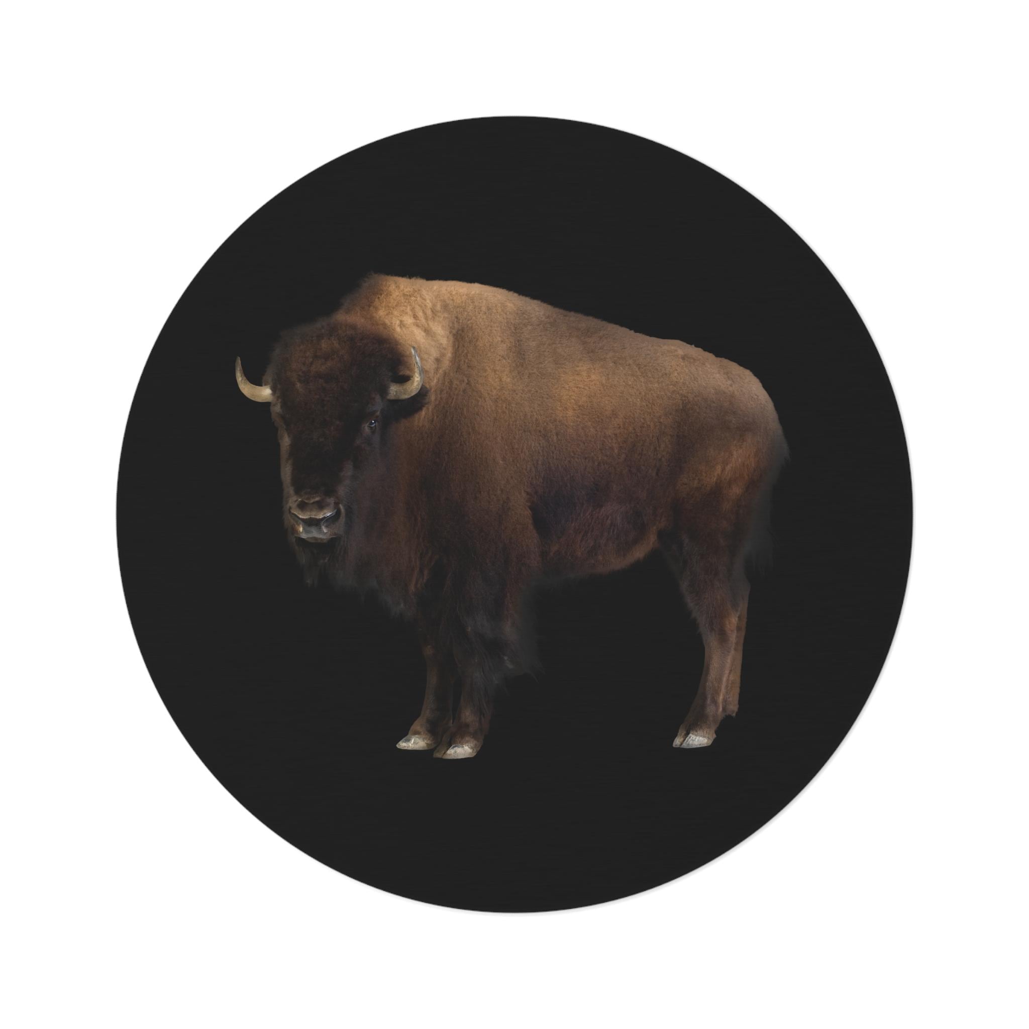 Buffalo Area Rug | Farmhouse Rug | Rustic Rug | Bison Rug | Animal ...