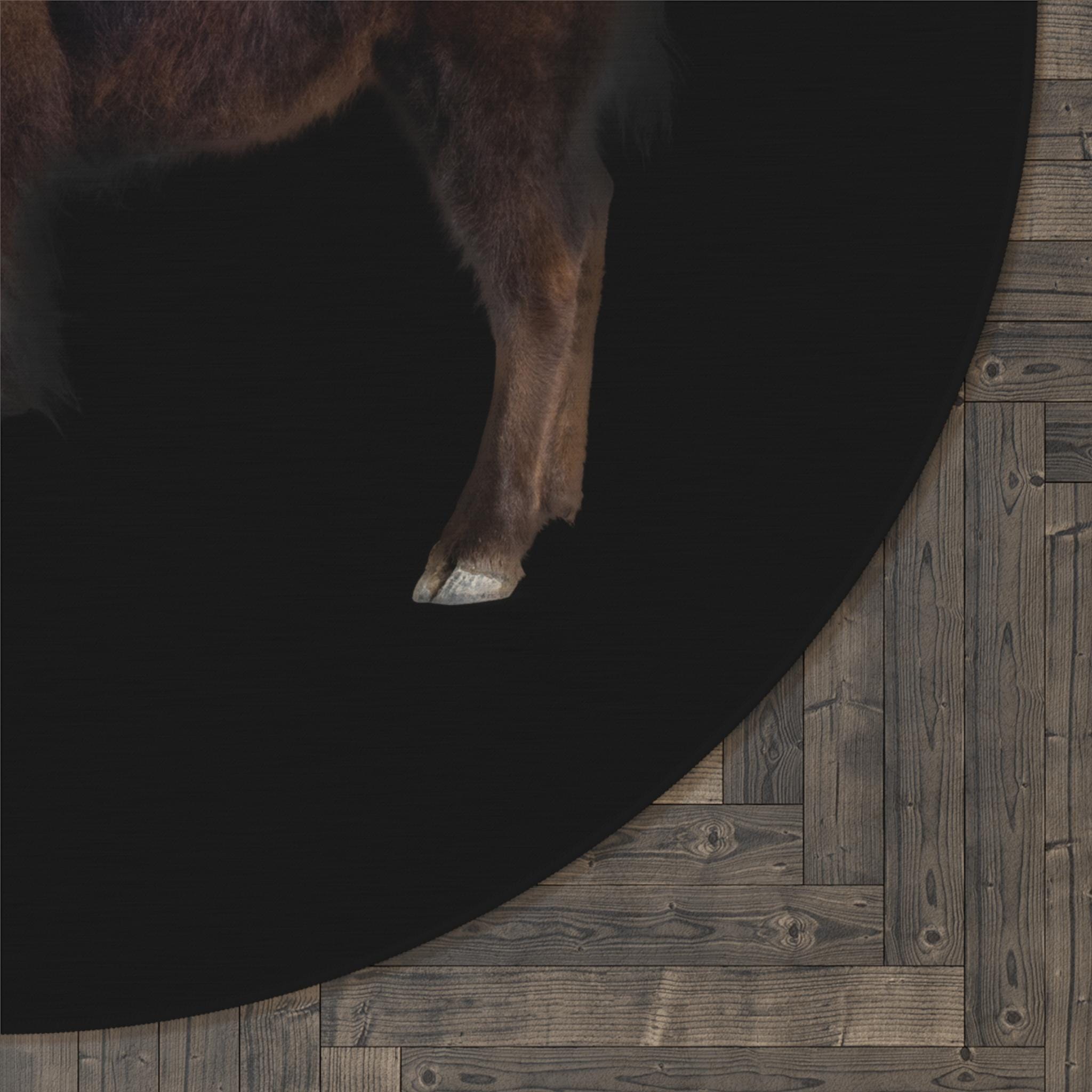Buffalo Area Rug | Farmhouse Rug | Rustic Rug | Bison Rug | Animal ...