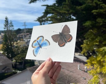 Puede incluir: Una pintura de acuarela de dos mariposas sobre papel blanco. La mariposa de la izquierda es azul con detalles naranjas. La mariposa de la derecha es marrón con detalles naranjas.