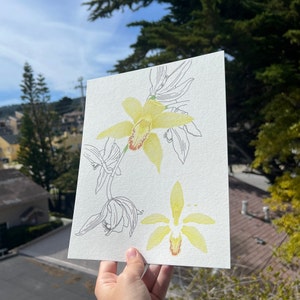 Orchid