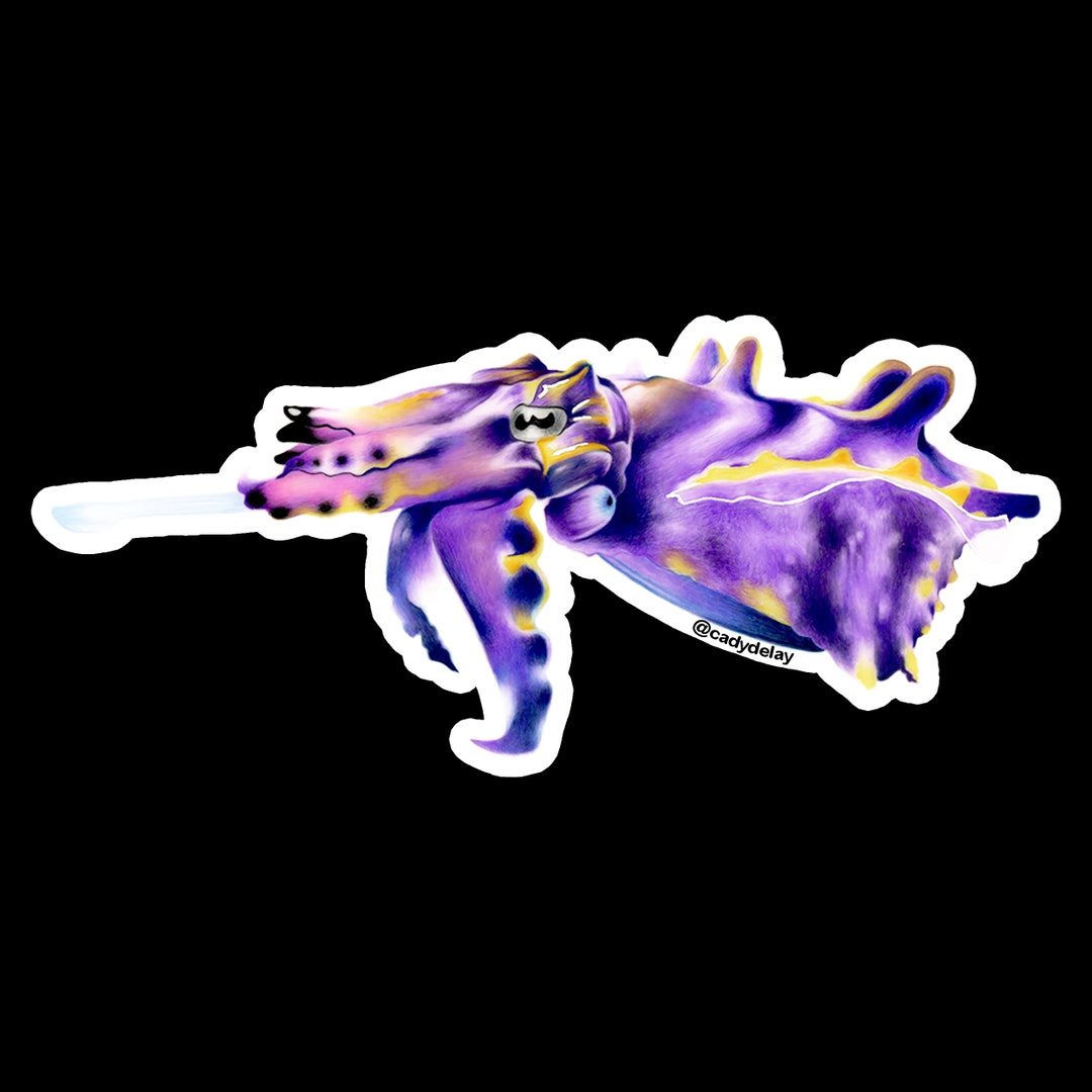 Flamboyant Cuttlefish Sticker - Etsy