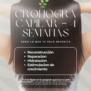 May include: Image of long, dark hair with text overlay. The text reads "CRONOGRA CAPILAR - 4 SEMANAS" and lists hair care benefits: Reconstruction, Repair, Hydration, and Growth Stimulation. A sprig of green leaves is at the top.