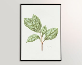 Basil Herb Sprig | Botanical Wall Print Set