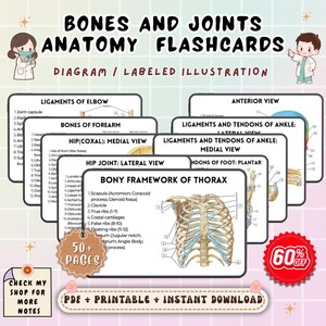 Bones & Joints Anatomy Flashcards | Skeletal System Study Guide | Nursing Anatomy Review | NCLEX Study Cards Printable PDF