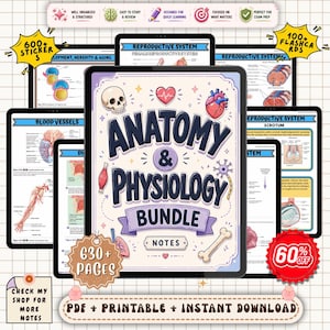 May include: Digital Anatomy & Physiology Bundle with 630+ pages, stickers, and flashcards. The cover features a skull, heart, and bone illustrations. Includes notes on blood vessels, reproductive systems, and more. Designed for quick learning and exam prep.