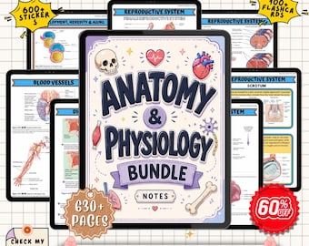 May include: Anatomy & Physiology Bundle digital notes with 630+ pages, stickers, and flashcards. The cover features a skull, heart, and bone illustrations. Includes notes on blood vessels, reproductive systems, and more. Designed for quick learning and exam prep.