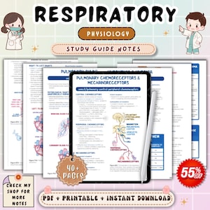 Anotações de Enfermagem sobre Fisiologia Respiratória | Guia de Estudo da Função Pulmonar | Revisão de Anatomia e Fisiologia | PDF para o Exame NCLEX de Enfermagem