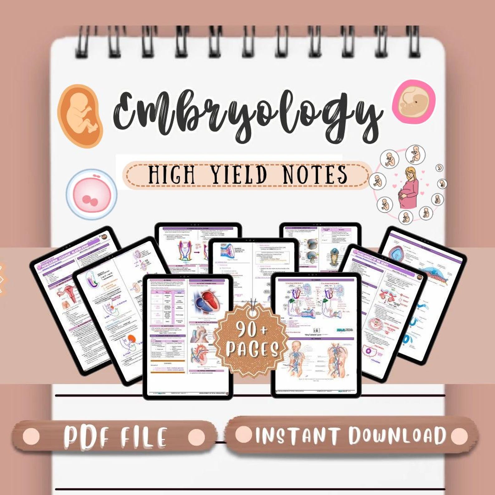 Embryology Notes Study Guide Notes Medical Notes Nursing Notes Nurse ...