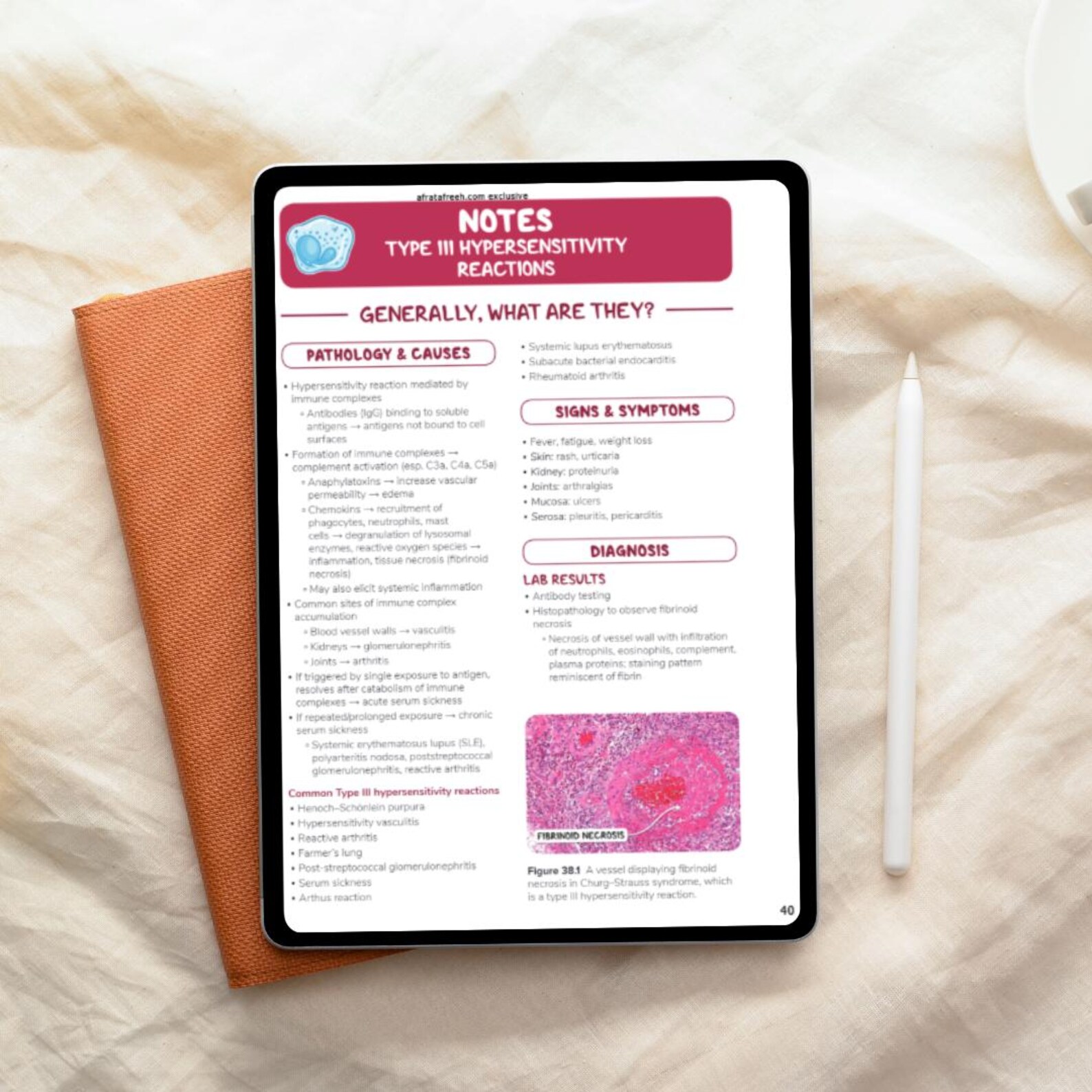 Immunology - Pathology | Nursing Study Guide | Nursing School Notes ...