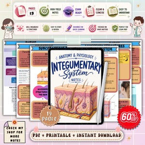May include: Anatomy and Physiology Integumentary System notes on a tablet with a stylus. The digital notes are 19 pages and include diagrams of the skin. The image also includes icons for exam prep and a 60% off promotion.