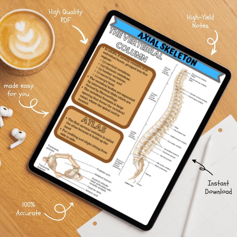 Skeletal System Anatomy and Physiology Notes | Bone Structure Study ...