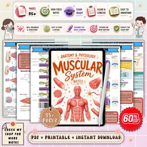 May include: Anatomy and Physiology Muscular System notes with 35+ pages, designed for quick learning. The image shows a digital tablet with a stylus, surrounded by study notes and graphics. The notes are well organised and structured.