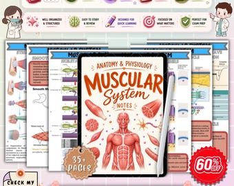 Apuntes de anatomía y fisiología del sistema muscular / Guía de estudio de anatomía muscular / Repaso de enfermería A&P / Examen NCLEX de enfermería (PDF)