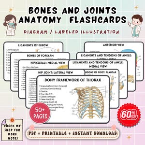 Bones & Joints Anatomy Flashcards | Skeletal System Study Guide | Nursing Anatomy Review | NCLEX Study Cards Printable PDF