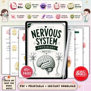 Nervous System Physiology Nursing Notes | Neuro Function Study Guide | Anatomy & Physiology Review | NCLEX Nursing PDF