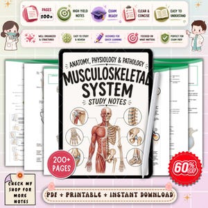 Musculoskeletal System Nursing Notes | Anatomy, Physiology and Pathology Study Guide | Bone & Joint Review | NCLEX PDF