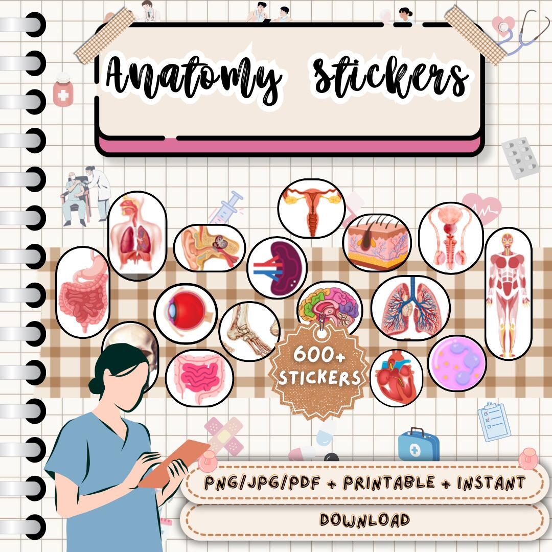 Anatomy and Biology Stickers | 600+ Pre-cropped | Human Body ...