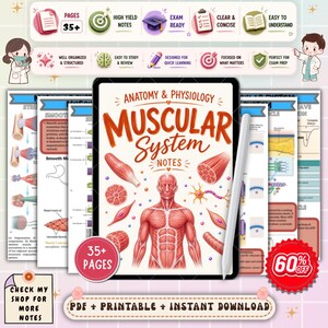 Muscular System Anatomy and Physiology Notes | Muscle Anatomy Study Guide | A&P Nursing Review | NCLEX Nursing PDF