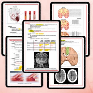 K&ouml;nnte beinhalten: Mehrere Tablets mit digitalen medizinischen Lernmaterialien. Die Guides zeigen detaillierte anatomische Illustrationen von Herz, Gehirn und Gef&auml;&szlig;systemen sowie medizinische Fachbegriffe und Diagramme zu neurologischen Erkrankungen.