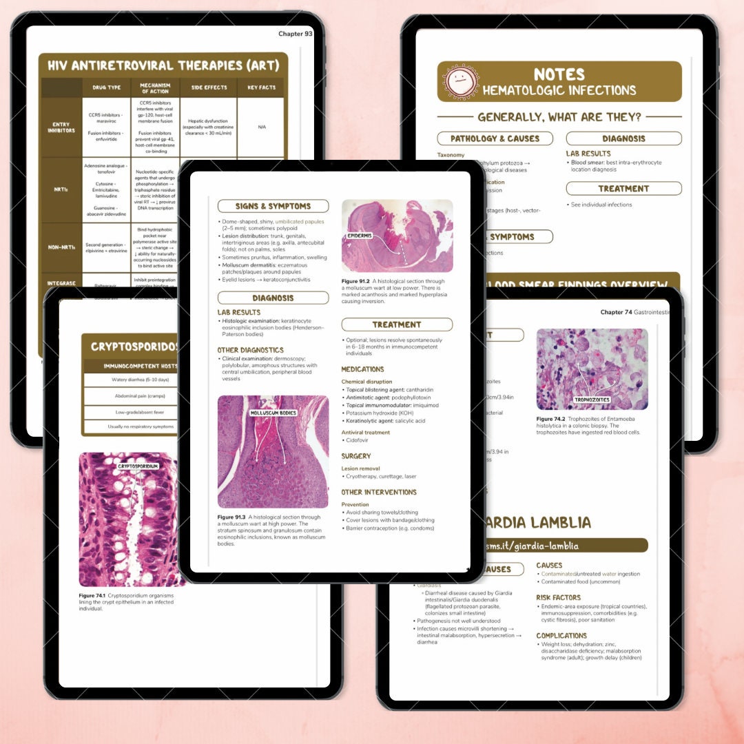 Microbiology High Yield Notes Study Guide Notes Digital Printable ...